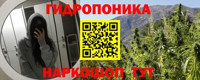 шишки Усть-Илимск