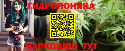 шишки Усть-Илимск