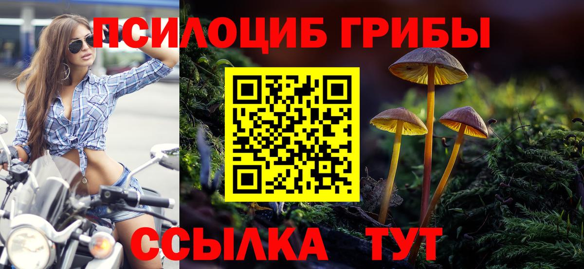 Псилоцибиновые грибы Psilocybine cubensis  Вход с VPN  Псилоцибиновые грибы мицелий  Мелеуз 