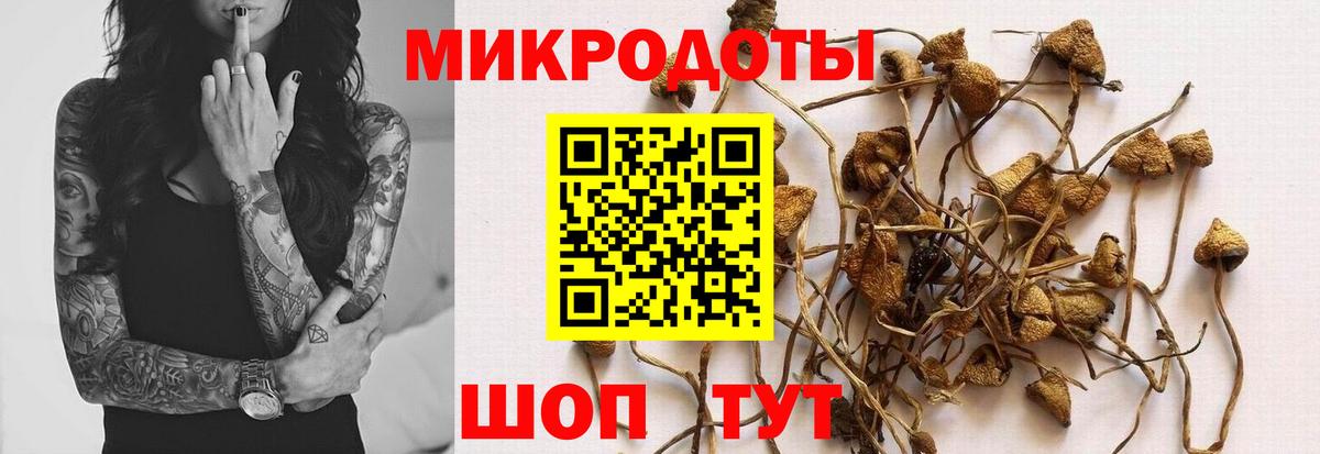 Псилоцибиновые грибы Psilocybine cubensis Мелеуз